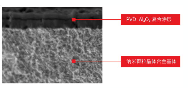DMP大湾区工博会3.png