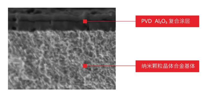 新品刀片免费试用火爆2.png