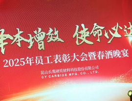 长鹰硬科2025年度盛会：凝心聚力 共启新程